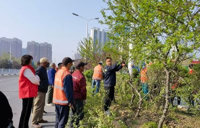 三门峡市绿化工程管理处 开展绿化技能培训，提升养护管理水平