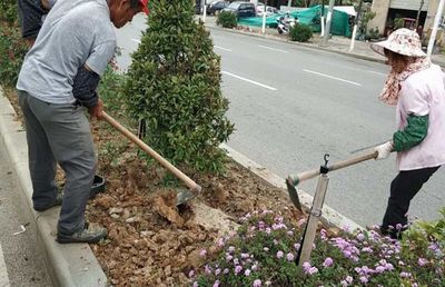 做好绿化补植工作，保障良好通行环境