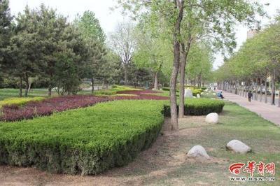 高温天，铜川多措并举为园林绿化“降温护航”