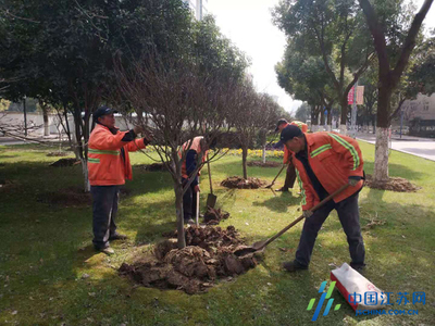 锡山城管局三步走完成春季绿化补植工作