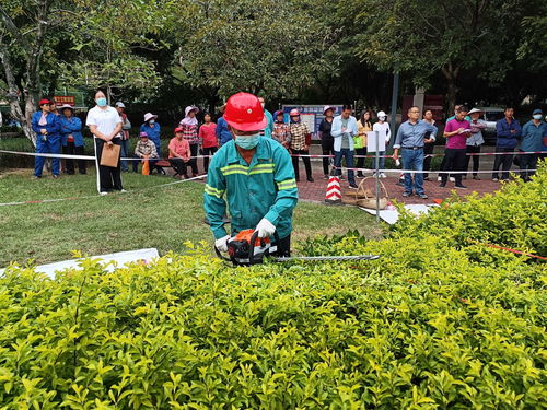 以赛促技强技能，匠心筑绿美贵港——贵港市城市管理监督局成功举办园林绿化技能竞赛