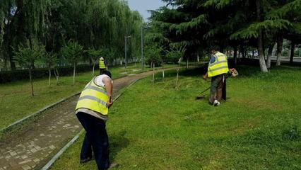 区住建局加强夏季园林植物养护管理，提升城市绿化品质
