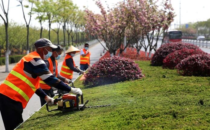 园林绿化养护首次纳入信用评价体系，开启精细化管理新篇章