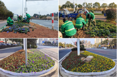 迎新春，袁州城区种花焕新迎祥和年——绿化管理绘就幸福底色