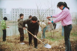 植树绿化，重在管理——论绿化管理的核心价值与实践路径