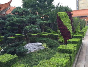 带着感情做绿化丨美好家园，我们给您营造——绿化管理的人本之道