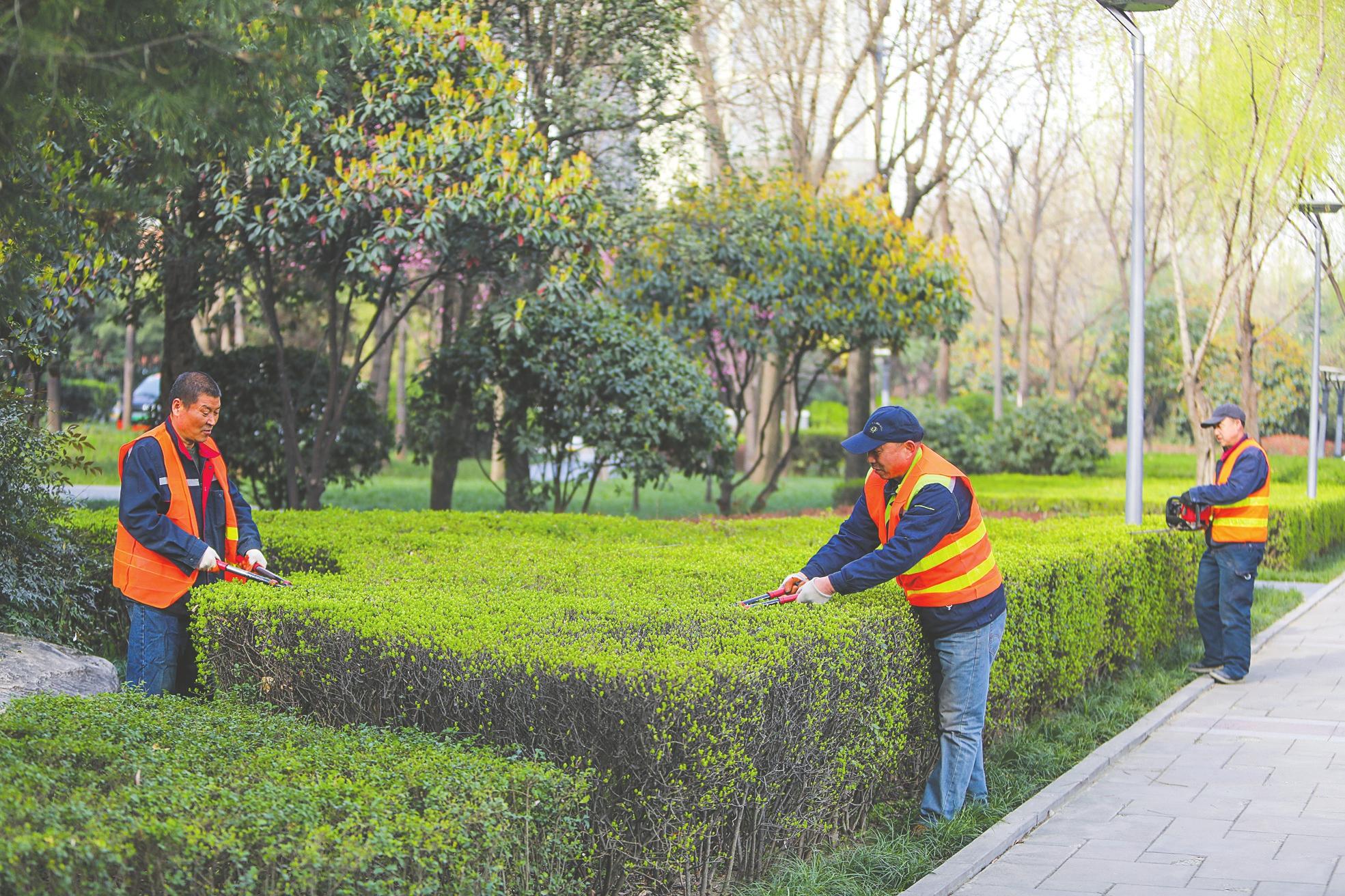 绿化养护工作人员标准化作业与高效绿化管理