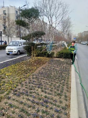 开封市园林绿化中心 浇灌“返青水” 静待满城春