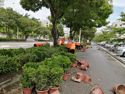 市城管综合执法局多措并举加强园林绿化管理