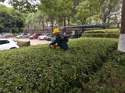 园林工程中的绿化管理 策略与实践