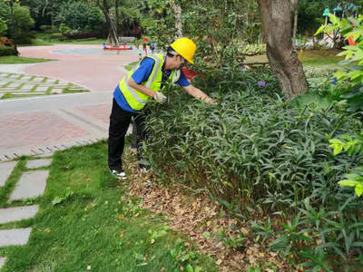 怡轩园林绿化公司启动雪域澜庭小区冬季绿化专项养护管理工作